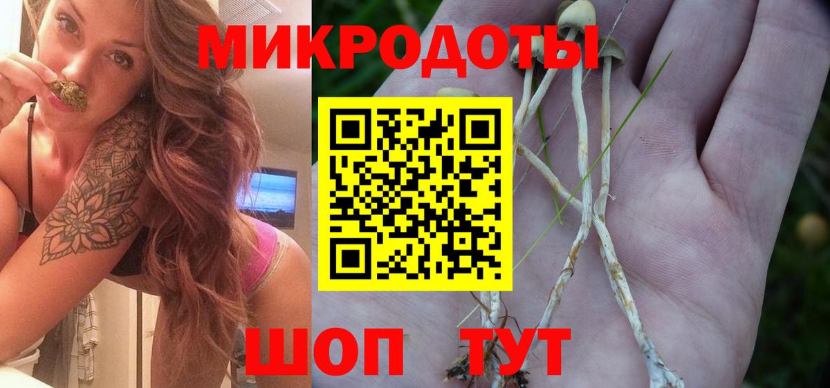 Галлюциногенные грибы Psilocybe  Вход с VPN  купить  цена  Луховицы 